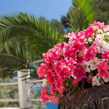 Appartement Julija Mali Lošinj