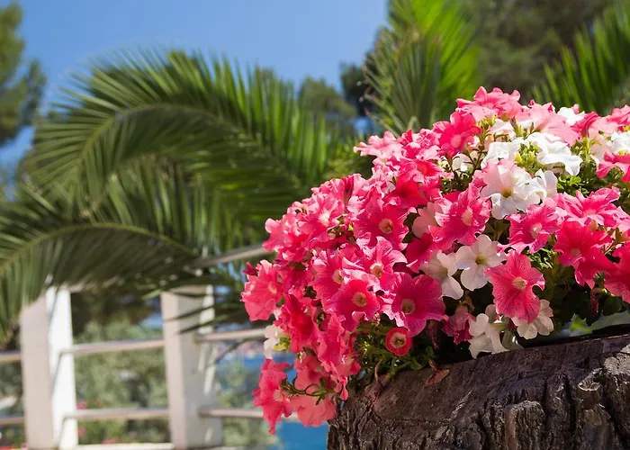 Apartament Julija Mali Lošinj